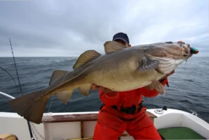 man in a fishing experience in a boat